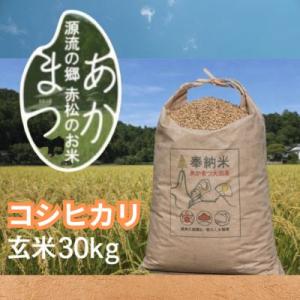 ふるさと納税 美波町 源流の郷　赤松のお米　新米9月発送「赤松大田楽奉納米」コシヒカリ玄米30キロ