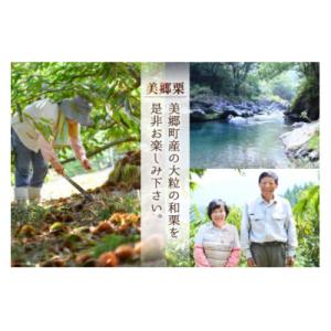 ふるさと納税 美郷町 和菓子 栗の渋皮煮 20...の詳細画像2