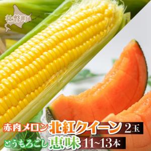 ふるさと納税 壮瞥町 【先行予約】北海道壮瞥産　赤肉メロン2玉ととうもろこし(恵味)11〜13本のセット SBTP015