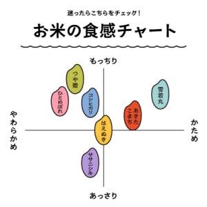 ふるさと納税 大石田町 米 令和7年産 雪若丸...の詳細画像2