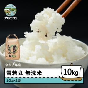 ふるさと納税 大石田町 米 令和7年産 雪若丸 無洗米 10kg 10kg×1袋 順次発送 ap-yumxa10x1