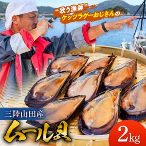 ふるさと納税 山田町 三陸山田産 山田 の ムール貝 2kg