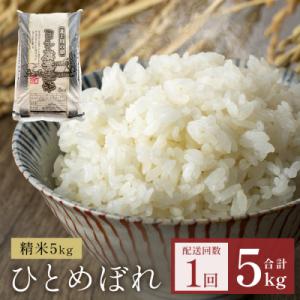 ふるさと納税 石巻市 米 令和7年産 ひとめぼれ 精米 5kg 単品 こめ コメ お米 ご飯 白米 防災減災