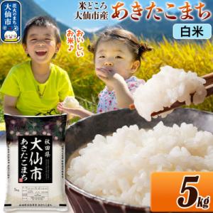 ふるさと納税 大仙市 米 あきたこまち【白米】 令和7年産 5kg|22_ssn-010501_sf