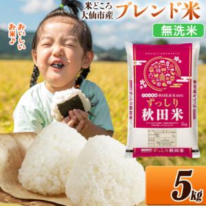 ふるさと納税 大仙市 米   ブレンド米 令和7年産【無洗米】5kg|22_ssn-040501m