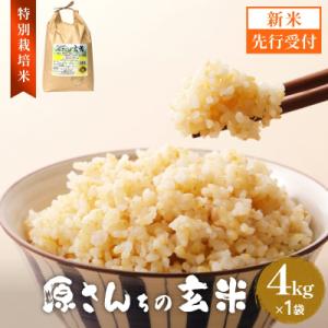 ふるさと納税 玖珠町 【令和8年産米先行受付】原さんちのお米 玄米 4kg ひとめぼれ 米 お米 こめ コメ