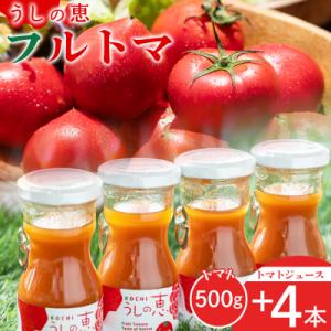 ふるさと納税 香南市 野菜ソムリエが育てた うしの惠フルーツトマト500g+トマトジュース4本 mj...