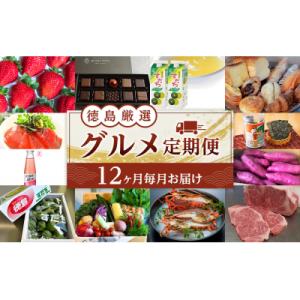 ふるさと納税 徳島市 【12ヶ月毎月お届け】徳島 厳選 グルメ定期便【ZZ010】
