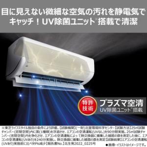 ふるさと納税 川崎市 東芝 エアコン【標準設置...の詳細画像1