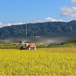 ふるさと納税 松前町 【2026年10月から順次発送予定】 米 ヒノヒカリ 玄米 30kg 未検査米 【HSH002】