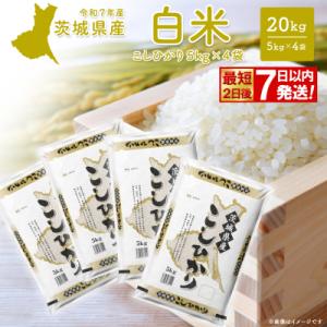 ふるさと納税 境町 こしひかり 20kg (5kg×4袋) 最短2日後発送【令和7年産/白米】茨城県産 米 小分け