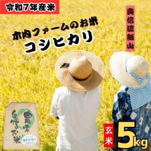 ふるさと納税 飯山市 【令和7年産】コシヒカリ〜木内ファームのお米〜 玄米 5kg(5kg×1袋)