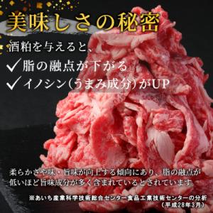 ふるさと納税 設楽町 国産 段戸山高原牛 切り...の詳細画像2