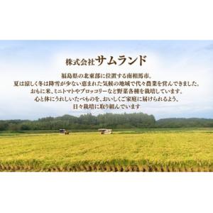ふるさと納税 南相馬市 先行予約 定期便 令和...の詳細画像1