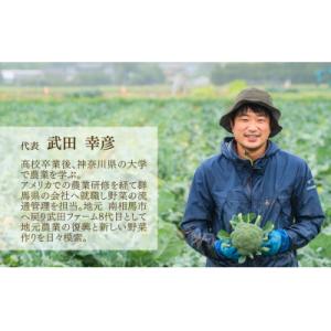 ふるさと納税 南相馬市 先行予約 定期便 令和...の詳細画像2