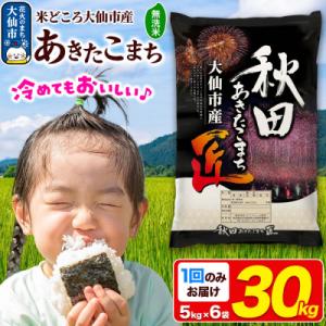 ふるさと納税 大仙市 米 あきたこまち【無洗米】30kg 令和7年産|22_snk-033001