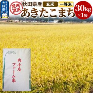 ふるさと納税 大仙市 米 令和7年産 秋田県産あきたこまち 一等米 農家直送 玄米30kg|22_uot-023001
