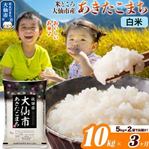 ふるさと納税 大仙市 米《3ヶ月》あきたこまち【白米】  令和7年産 10kg|22_ssn-011003_sf