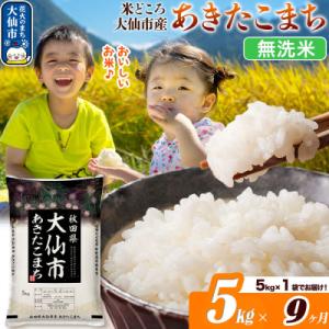 ふるさと納税 大仙市 米《9ヶ月》あきたこまち【無洗米】 あきたこまち5kg|22_ssn-030509_sf