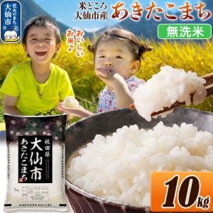 ふるさと納税 大仙市 米 あきたこまち【無洗米】 令和7年産 10kg|22_ssn-031001_sf