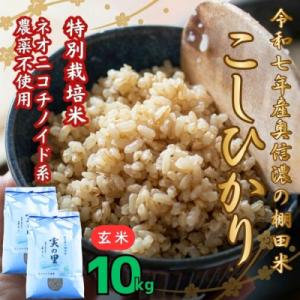 ふるさと納税 飯山市 【令和7年産】特別栽培米 『奥信濃の棚田米 実の里』こしひかり 玄米 10kg(5kg×2袋)