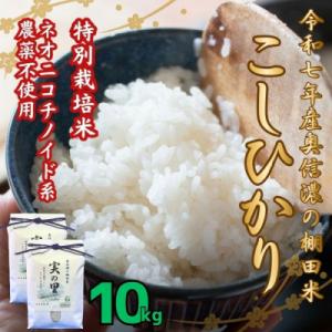 ふるさと納税 飯山市 【令和7年産】特別栽培米 『奥信濃の棚田米 実の里』こしひかり 精米 10kg(5kg×2袋)