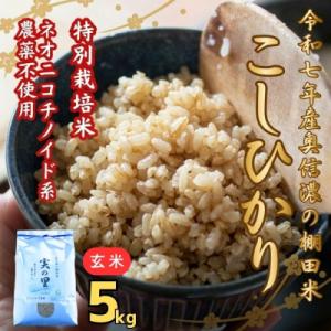 ふるさと納税 飯山市 【令和7年産】特別栽培米 『奥信濃の棚田米 実の里』こしひかり 玄米 5kg(5kg×1袋)
