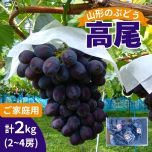 ふるさと納税 上山市 山形のぶどう(高尾)2〜4房　合計2kg　ご家庭用　0017-2605