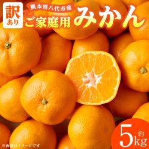 ふるさと納税 八代市 【先行予約】【訳あり】家庭用みかん 約5kg【2026年9月下旬より順次発送】_001-4031-F