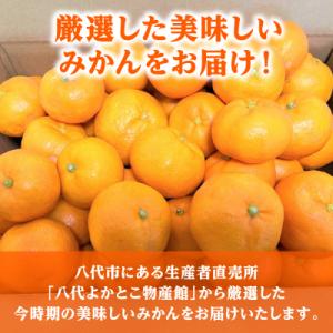 ふるさと納税 八代市 【先行予約】【訳あり】家...の詳細画像2