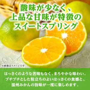 ふるさと納税 八代市 【先行予約】スイートスプ...の詳細画像2