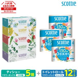 ふるさと納税 八代市 ティッシュ 250組5箱 + トイレットペーパー シングル 12ロール_186-6548 ティッシュ
