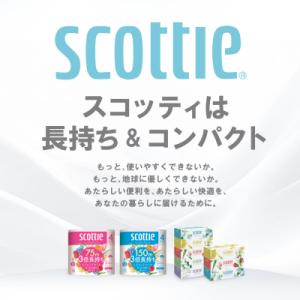 ふるさと納税 八代市 ティッシュ 250組5箱...の詳細画像1