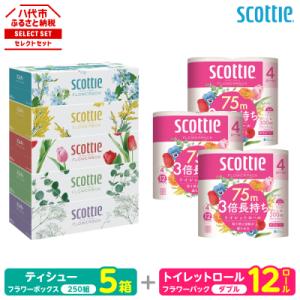 ふるさと納税 八代市 ティッシュ 250組 5箱 + トイレットペーパー ダブル 12ロール スコッティ_186-6552
