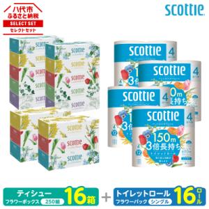 ふるさと納税 八代市 ティッシュ 250組 16箱+ トイレットペーパー シングル 16ロールスコッ...