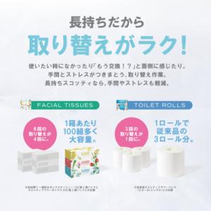 ふるさと納税 八代市 ティッシュ 250組 1...の詳細画像2