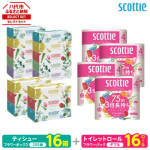 ふるさと納税 八代市 ティッシュ 250組 16箱 +トイレットペーパー ダブル 16ロール スコッティ_186-6555
