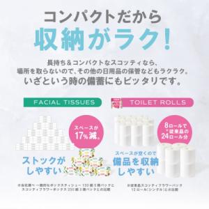 ふるさと納税 八代市 ティッシュ 250組 1...の詳細画像3