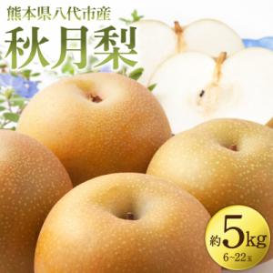 ふるさと納税 八代市 【先行予約】秋月梨 約5kg(6〜22玉)【2026年8月下旬より順次発送】_171-4411-D