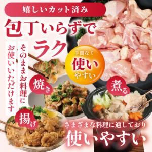 ふるさと納税 八代市 【令和8年熊本地震復興支...の詳細画像3