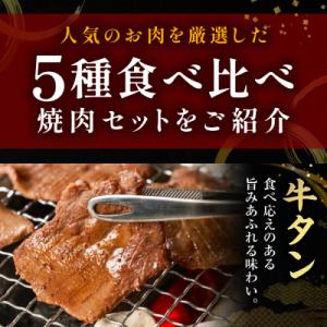 ふるさと納税 八代市 【訳あり】焼肉セット5種...の詳細画像1