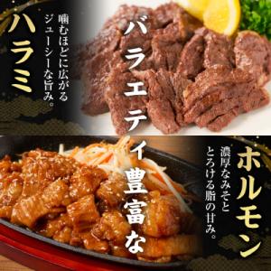 ふるさと納税 八代市 【訳あり】焼肉セット5種...の詳細画像2