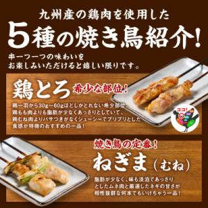 ふるさと納税 八代市 やきとり5種 60本(約...の詳細画像1