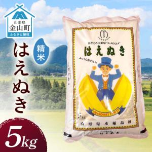 ふるさと納税 金山町 令和7年産 金山産米 はえぬき 【精米】5kg F4B-0830