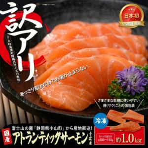 ふるさと納税 小山町 【訳あり】サーモン 小分け お刺身用 約1kg