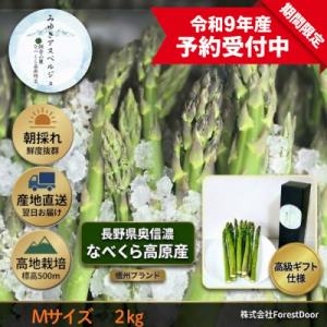 ふるさと納税 飯山市 【令和9年産先行予約】アスパラガス みゆきアスペルジュ Mサイズ 2kg入り(...
