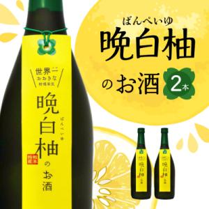 ふるさと納税 八代市 晩白柚のお酒 晩白柚リキュール 720ml×2本_041-4416-A