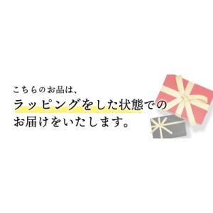 ふるさと納税 甲府市 【サイズ選択】【甲府ジュ...の詳細画像3