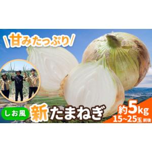 ふるさと納税 笠岡市 しお風 新たまねぎ 5kg 大きさ不揃い《5月中旬-6月上旬頃出荷》岡山県 笠岡市