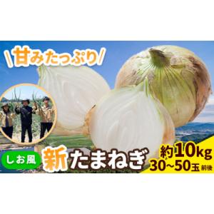 ふるさと納税 笠岡市 しお風 新たまねぎ 10kg 大きさ不揃い《5月中旬-6月上旬頃出荷》岡山県 笠岡市